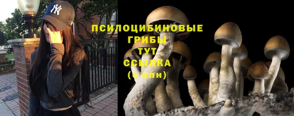 mix Верхний Тагил