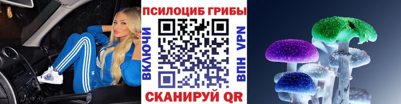где купить наркоту  Вуктыл  Галлюциногенные грибы мухоморы 